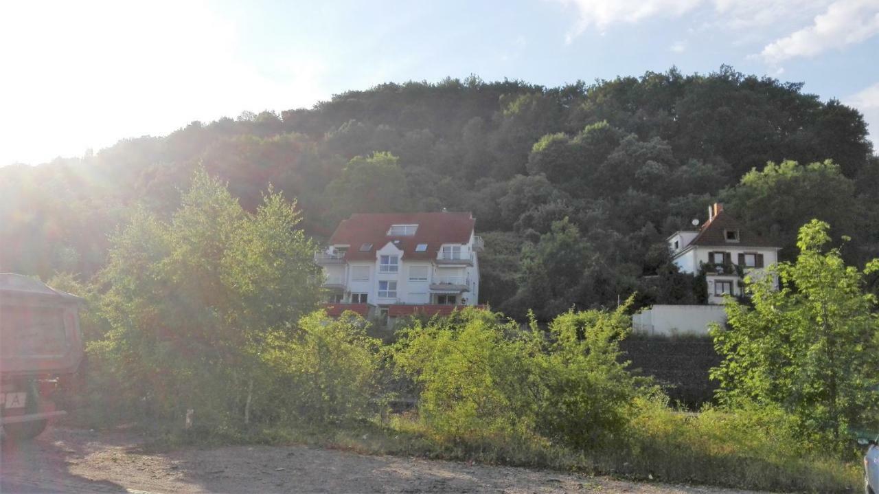 Ferienwohnung Anita Annweiler am Trifels Εξωτερικό φωτογραφία